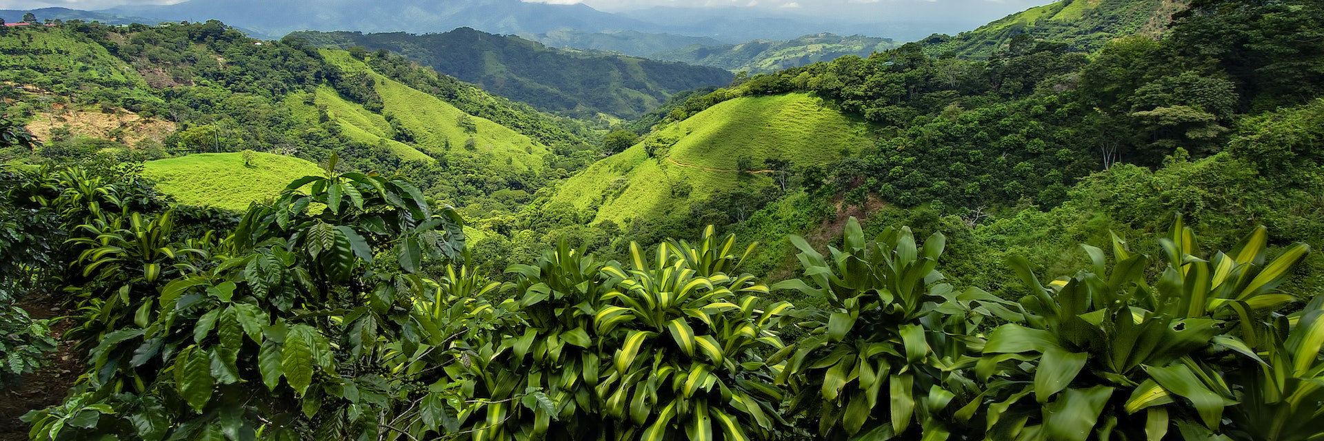 Costa Rica mountains and hillside was amazing. view into valley was unbelievable. It was so much green for miles, and miles. cloud formation.