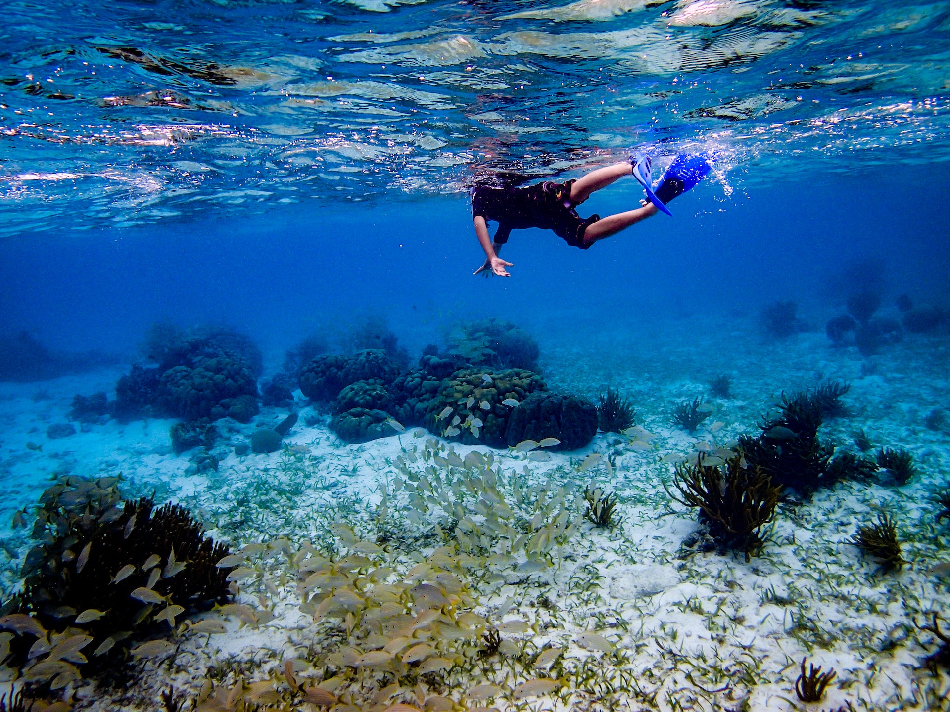 A boy swims in the crystal clear waters of San Pedro, Belize