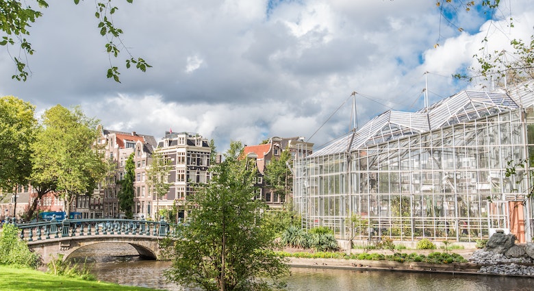 De Hortus, botanical garden, bridge, cloud, de Plantage, nature, tree, Grass, Outdoors, Plant