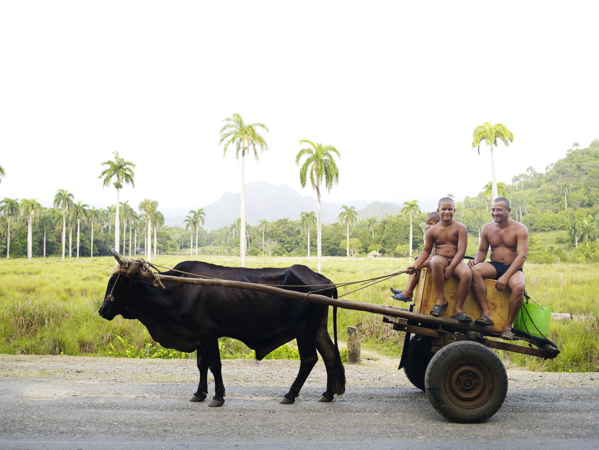 People riding ona bullock cart on the road between Santiago de Cuba and Baracoa, Cuba